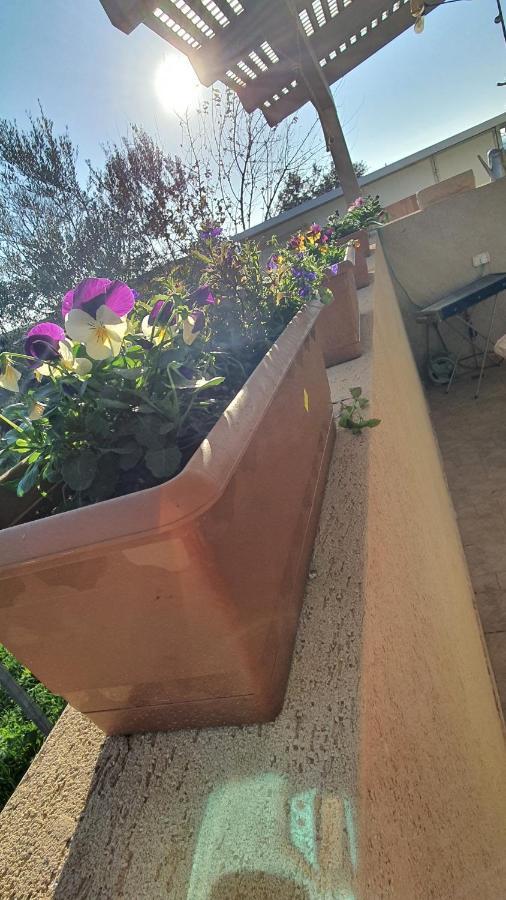 גבעת יואב B resort דירת נופש בדרום רמת הגולן מראה חיצוני תמונה