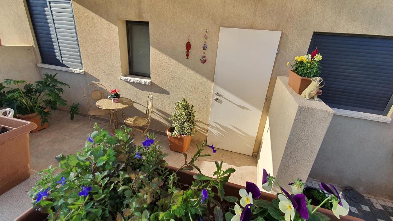 גבעת יואב B resort דירת נופש בדרום רמת הגולן מראה חיצוני תמונה
