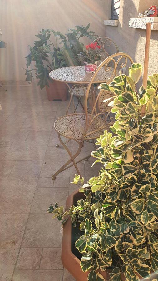 גבעת יואב B resort דירת נופש בדרום רמת הגולן מראה חיצוני תמונה