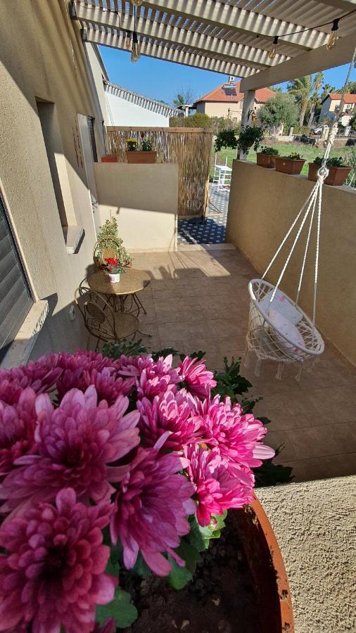 גבעת יואב B resort דירת נופש בדרום רמת הגולן מראה חיצוני תמונה